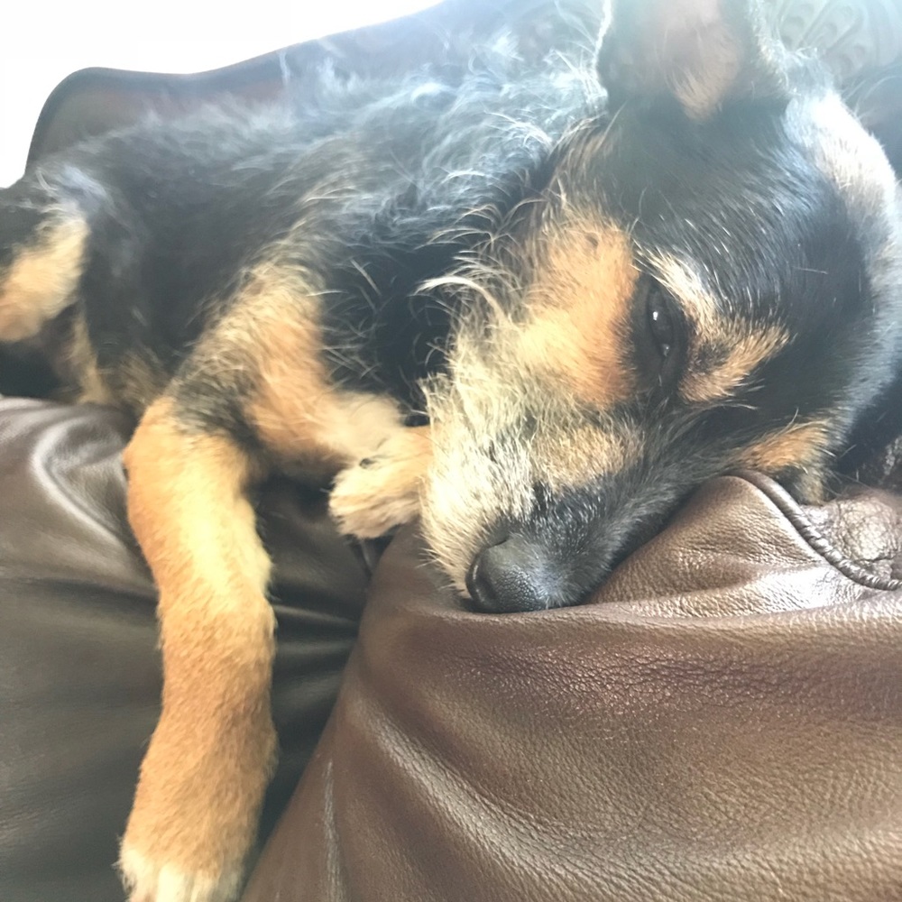 Meet your Posher, Maira